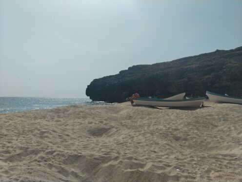 La route – Oman – Ras al Jinz