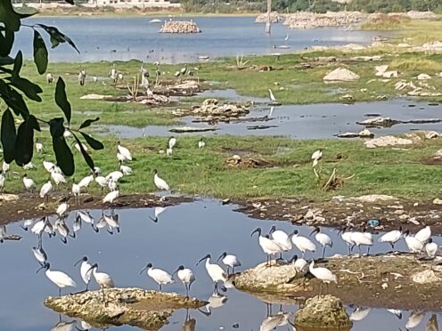 La route – Inde -Gujarat