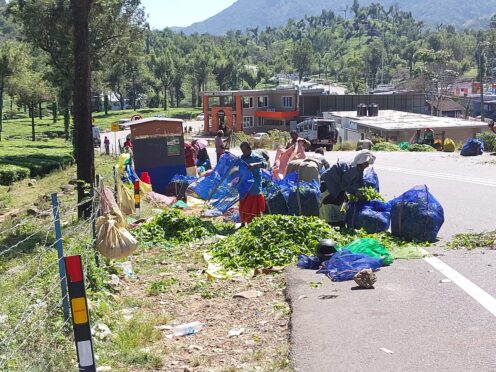 La route – Inde – Kerala et Tamil Nadu