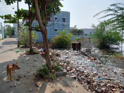 La route – Inde – Madurai