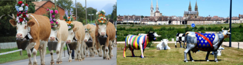 La route – Inde – Histoire de rickshaws