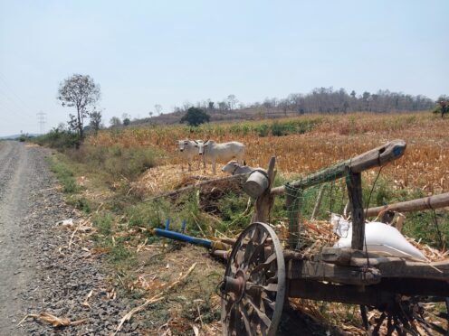 La route – Inde – Khajuraho