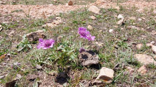 Kirgizistan – Son-Kul